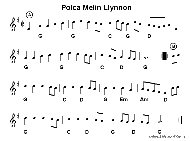 Polca Melin Llynnon